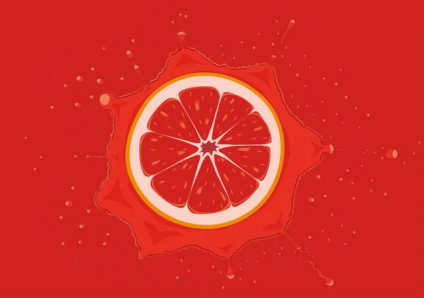 Grapefruitscheibe Fällt Saftspritzer — Stockvektor