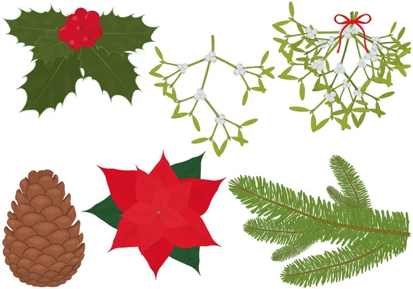 Kerstmis Nieuwjaar Traditionele Planten Voor Interieur Vector Illustratie — Stockvector