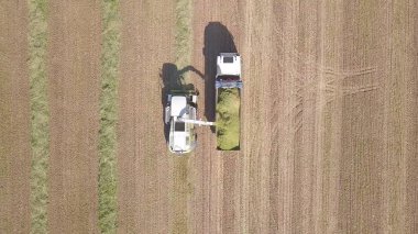 Toplama ve parçalamayı birleştirin. Ekin için buğday biçin ve bir karavana boşaltın..