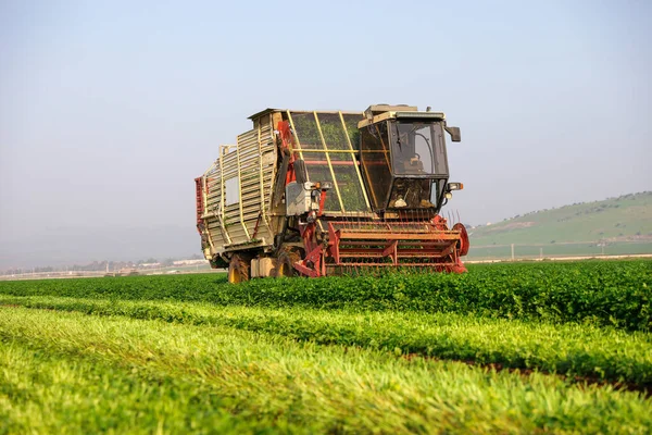 Agriculture machinery chops herbs in a green agricultural field. — Stock Photo, Image