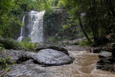 Serene Şelalesi Zarifçe Akıyor, Güzelce Çevrelenmiş Doğada Yeşillik.