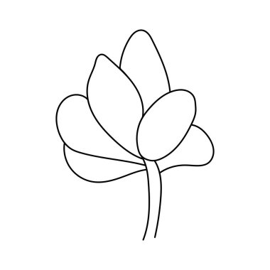 Elle çizilmiş, tatlı, sulu bir karalama. Grafik çizimi ev çiçekleri. Vektör illüstrasyonu, beyaz arkaplandaki izole ögeler.