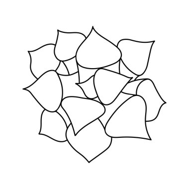 Elle çizilmiş, tatlı, sulu bir karalama. Grafik çizimi ev çiçeği Haworthia. Vektör illüstrasyonu, beyaz arkaplandaki izole ögeler.