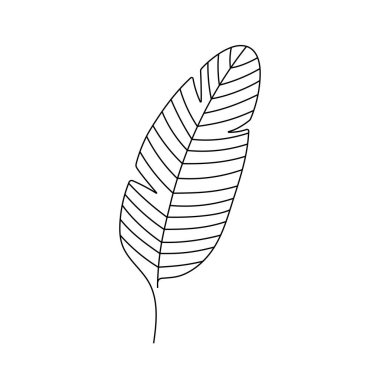 Tek sıra halinde muz yaprağı. Egzotik bir bitkinin sürekli çizimi. Vektör çizimi, beyaz arka planda izole edilmiş siyah elementler. El çizimi çizimler