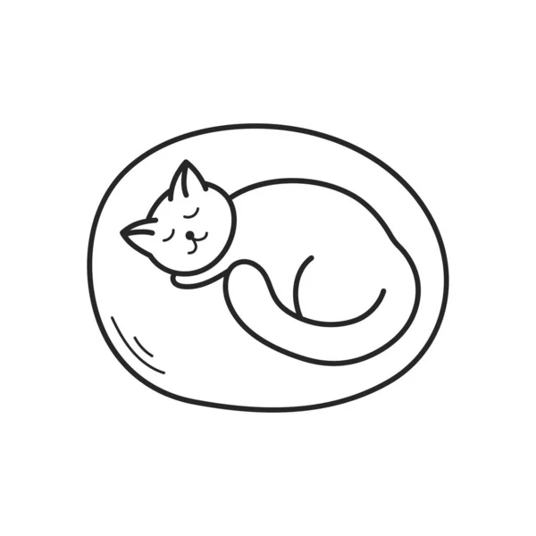 Gato bonito dorme no sofá em casa. O esboço do ícone desenhado à mão. Ilustração vetorial, elementos isolados sobre fundo branco. — Vetor de Stock