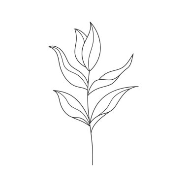 El çizimi yaprak ve dalları zarif bir şekilde çizer. Vektör çizimi, beyaz arka planda izole edilmiş siyah elementler. Yazdırma ve tasarım için