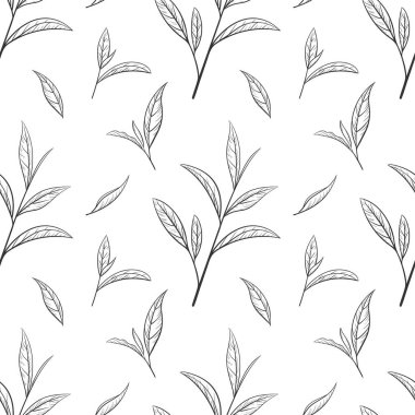 El yapımı yeşil çay yaprağı, bahşişler, floş. Organik yiyecek ve içecek taslağı çiz. Vektör illüstrasyonu, beyaz arka planda kusursuz desenli siyah elementler. Yazdırma ve tasarım için