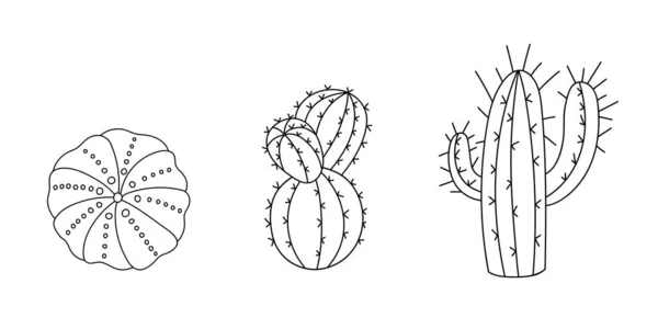 Cactus situé dans le désert dans le style doodle. Succulent tracé par ligne. Croquis graphique plante maison. Illustration vectorielle, éléments noirs isolés pour l'impression et la conception — Image vectorielle