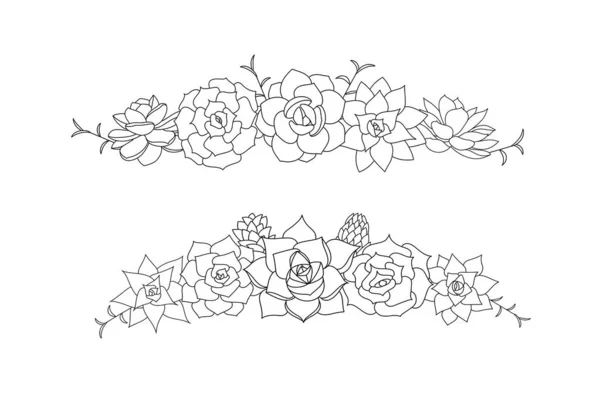 เฟรมเวกเตอร Echeveria ภาพวาดดอกไม ทะเลทรายท วาดด วยม อในสไตล Doodle โครงร างส — ภาพเวกเตอร์สต็อก