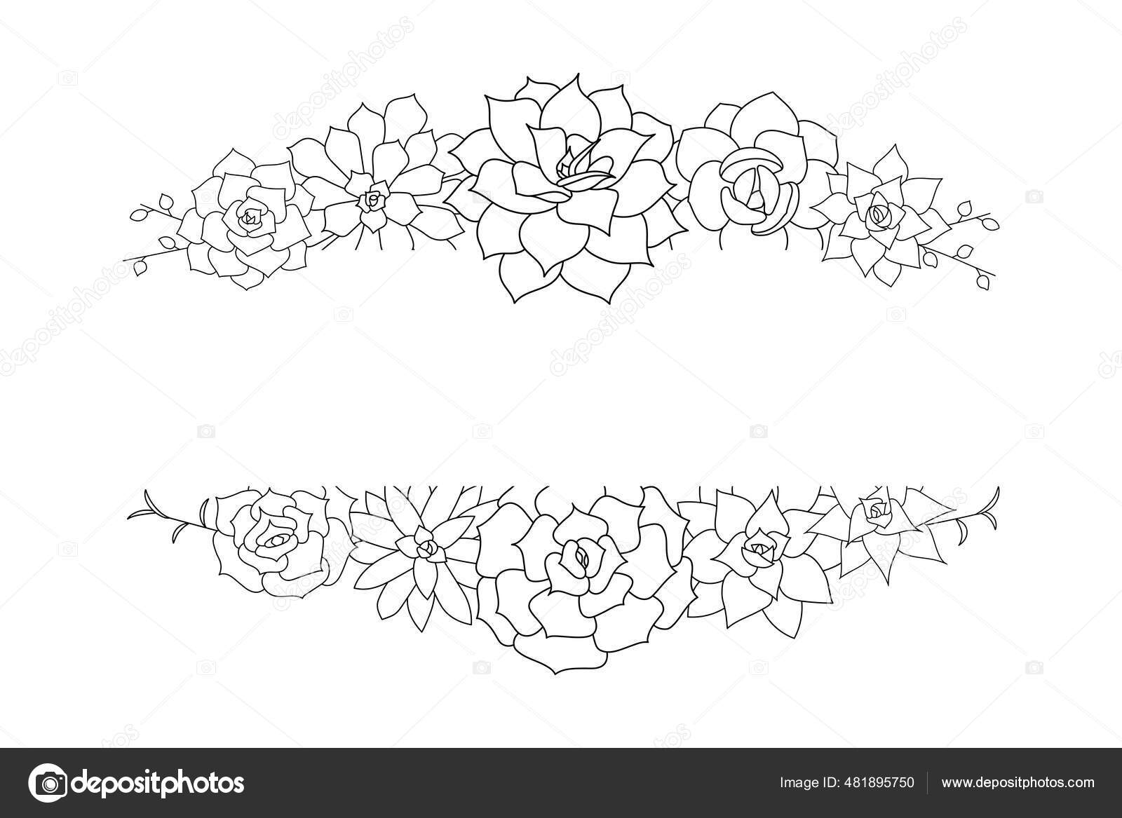 Succulent Echeveria Vector Frame Hand Drawn Desert Flower Illustration  Doodle Stock Vector by ©Natalya_Maevskaya 481895750, image size:1600x1167