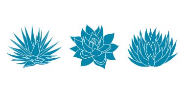Agave mavi seti düz stil. Beyaz arkaplanda vektör çizimi izole edildi. Tekila yapmak için Agave şurubu. Meksika silueti, sulu el çizimi..