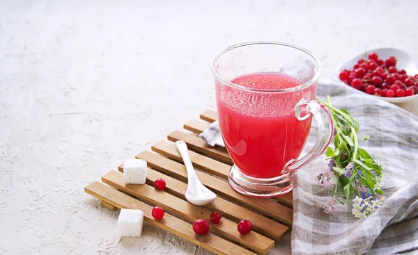전통적 러시아 음료인 커런트 Red Currant Jelly Kissel 가벼운 콘크리트 — 스톡 사진