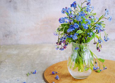 Gri bir arka planda cam bir sürahi içinde mavi, pembe ve beyaz unutma benekleri. Kopyalama alanı.