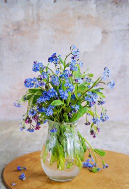 Gri bir arka planda cam bir sürahi içinde mavi, pembe ve beyaz unutma benekleri. Kopyalama alanı.