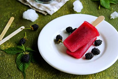 Tatlı, porsiyonlu ev yapımı dondurma ya da kırmızı frenk üzümü ve böğürtlenlerden yapılmış buzlu dondurma, yeşil beton arka planda beyaz bir tabakta. Böğürtlen tatlısı. Ev yapımı dondurma..