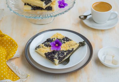 Süzme peynirli dilimlenmiş turta ve hafif ahşap zemin üzerinde seramik tabakta haşhaşlı hamur tatlısı. Gelincik turtası. Polonya mutfağı