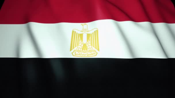 Agitar Egipto Realista Animación Bucle — Vídeos de Stock