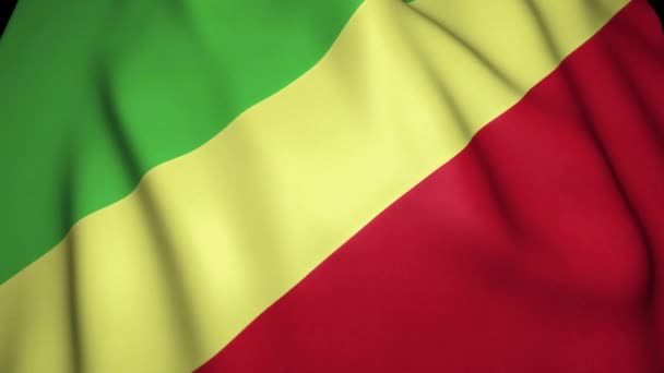 Acenando República Realista Congo Animação Loop — Vídeo de Stock