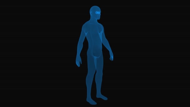 Realistický Muž Drátem Koncept Rentgenu Lidského Těla Otočení Smyčky Černém — Stock video
