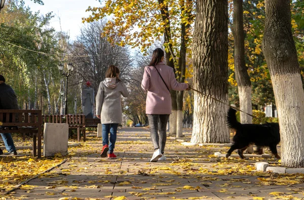 Mutter Und Tochter Spazieren Mit Hund Der Herbstgasse — Stockfoto