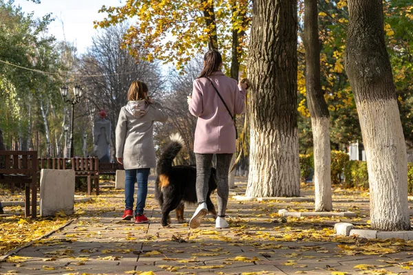 Mutter Und Tochter Spazieren Mit Hund Der Herbstgasse — Stockfoto