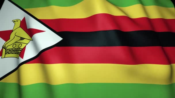 Fond Réaliste Drapeau Zimbabwe Animation Boucle — Video