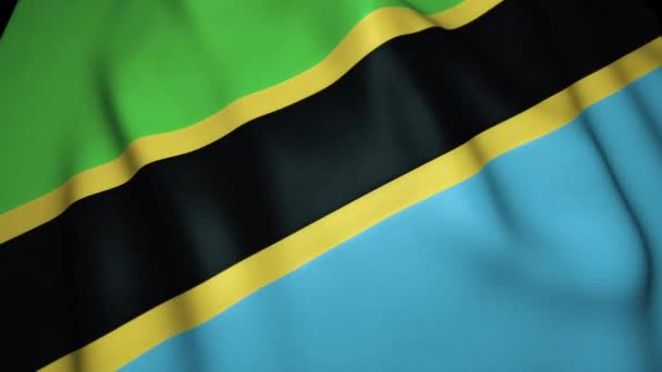 Zwaaien Met Een Realistische Tanzania Vlag Achtergrond Lusanimatie — Stockvideo