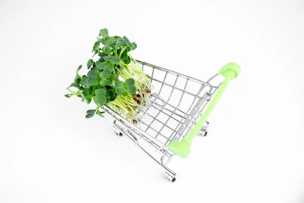 Frisches Öko Landwirtschafts Grünlieferkonzept Junge Microgreens Einkaufswagen Auf Weißem Hintergrund — Stockfoto