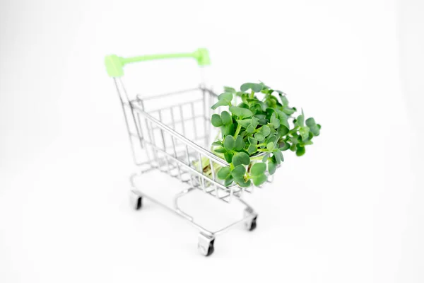 Frisches Öko Landwirtschafts Grünlieferkonzept Junge Microgreens Einkaufswagen Auf Weißem Hintergrund — Stockfoto