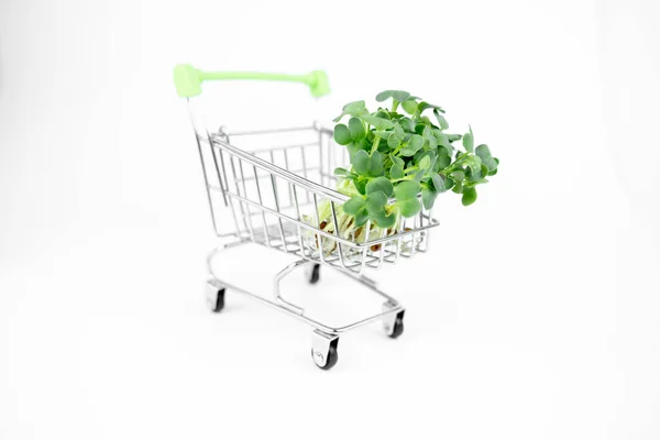 Frisches Öko Landwirtschafts Grünlieferkonzept Junge Microgreens Einkaufswagen Auf Weißem Hintergrund — Stockfoto