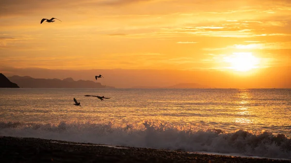 Utrolig Soloppgang Den Tropiske Stranden Gul Sol Havet Oransje Farger – stockfoto