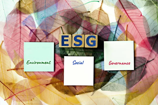 ESG (Çevre, Sosyal ve Şirket Yönetimi) temalı fotoğraf. 
