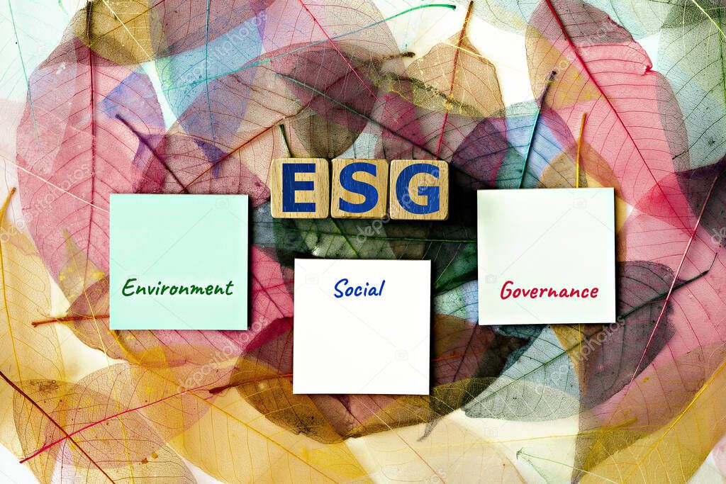photo on ESG (Environmental, Social, and Corporate Governance) theme. wooden cubes with the acronym 