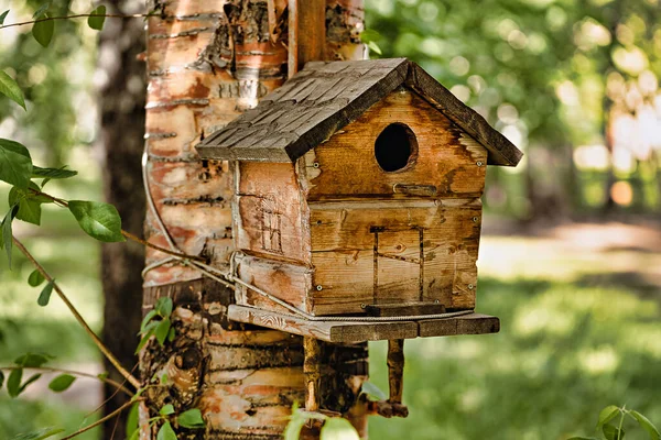 Selective Focus Photo Cozy Birdhouse Tree Backdrop Summer Forest Landscape — Stock Photo, Image