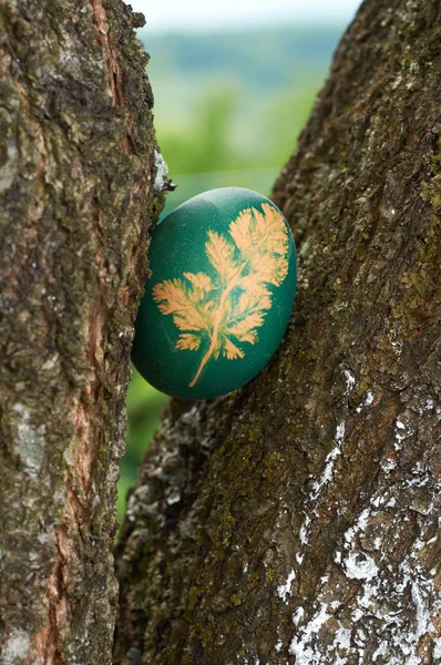 Green Easter egg — Stock Photo, Image