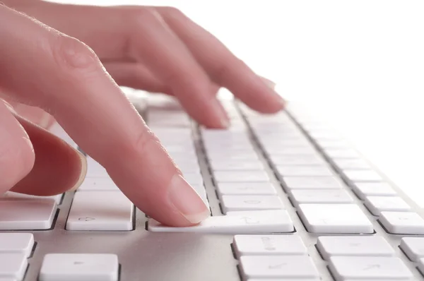 Female hands typing — Stock Photo, Image