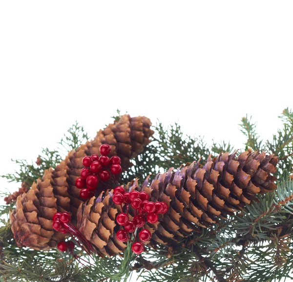 Natal ramos de abeto decorativos — Fotografia de Stock