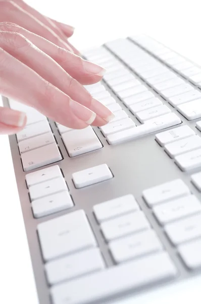 Female hands typing — Stock Photo, Image