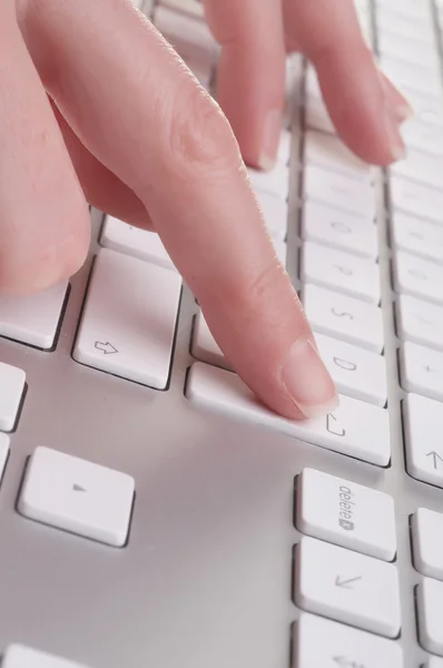 Female hands typing — Stock Photo, Image