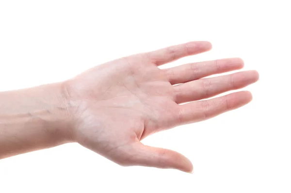 Mano de mujer sobre blanco — Foto de Stock