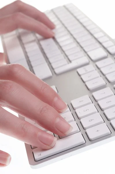 Female hands typing — Stock Photo, Image