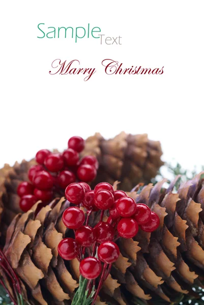 Rami di abete decorativi di Natale — Foto Stock