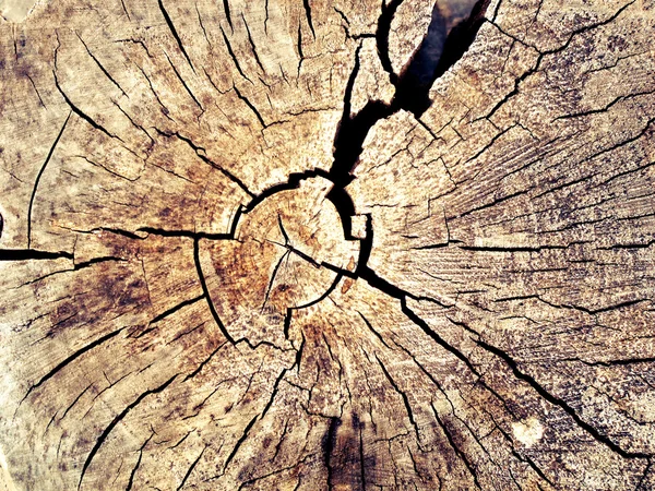 Vecchio legno naturale Foto Stock