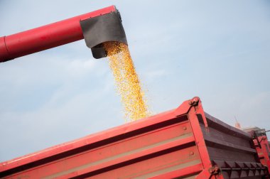 sürüsüne boşaltma