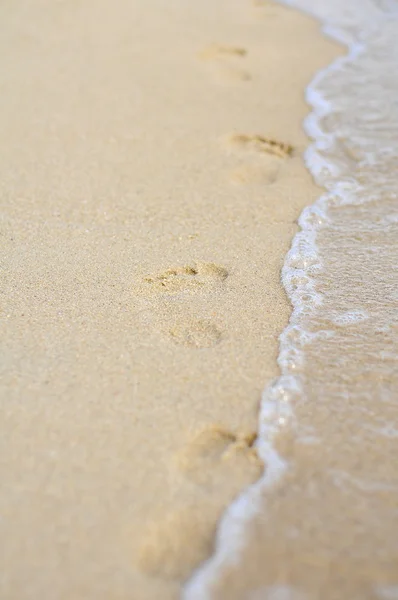 Fotspår på stranden — Stockfoto