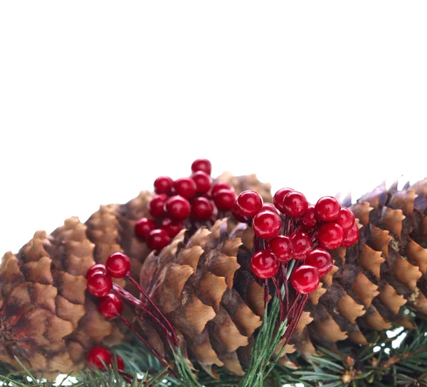 Natal ramos de abeto decorativos — Fotografia de Stock