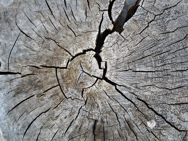 Vecchio legno naturale Immagine Stock