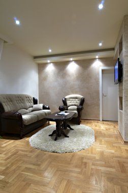 Modern oturma odası