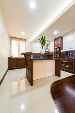 Çağdaş mutfak iç