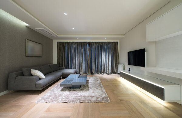 Modern home living room